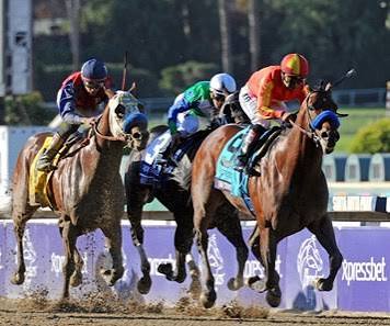HORSERACING1002's tweet photo. SECRET CIRCLE🇺🇸2009
(EDDINGTON ▪︎ RAGTIME HOPE BY DIXIELAND BAND)
#SecretCircle
B/ Willmott Stables (Ky) April 13, 2009
O/ Pegram, Michael E. Watson, Karl & Weitman Paul
T/ Bob Baffert
KEESEP $17,000 RNA
OBSMAR $165,000
16-8-6-1--$3,670,790
Breeder's Cup Sprint G1, Rebel S G2, Breeder's Cup Juvenile Sprint, Southwest S G3, Jack Goodman S, Dubai Golden Shaheen G1.
2nd Breeder's Cup Sprint G1, Arkansas Derby G1, Cigar Mile G1, Palos Verdes S G2 (2), Sham S G3
3rd Santa Anita Sprint Championship G1,
Stood at Hill 'n' Dale Farms 🇺🇸, Elite Thoroughbreds,
Sired Jet Rocket, Everyoneloveslinda, Howbeit, Templar Red, Secret Rocket, McKague, Imapeppa, Ragtime Wine, Ellesbigseacret, Justwaveandsmile, Our Secret Agent, Secret Rules,