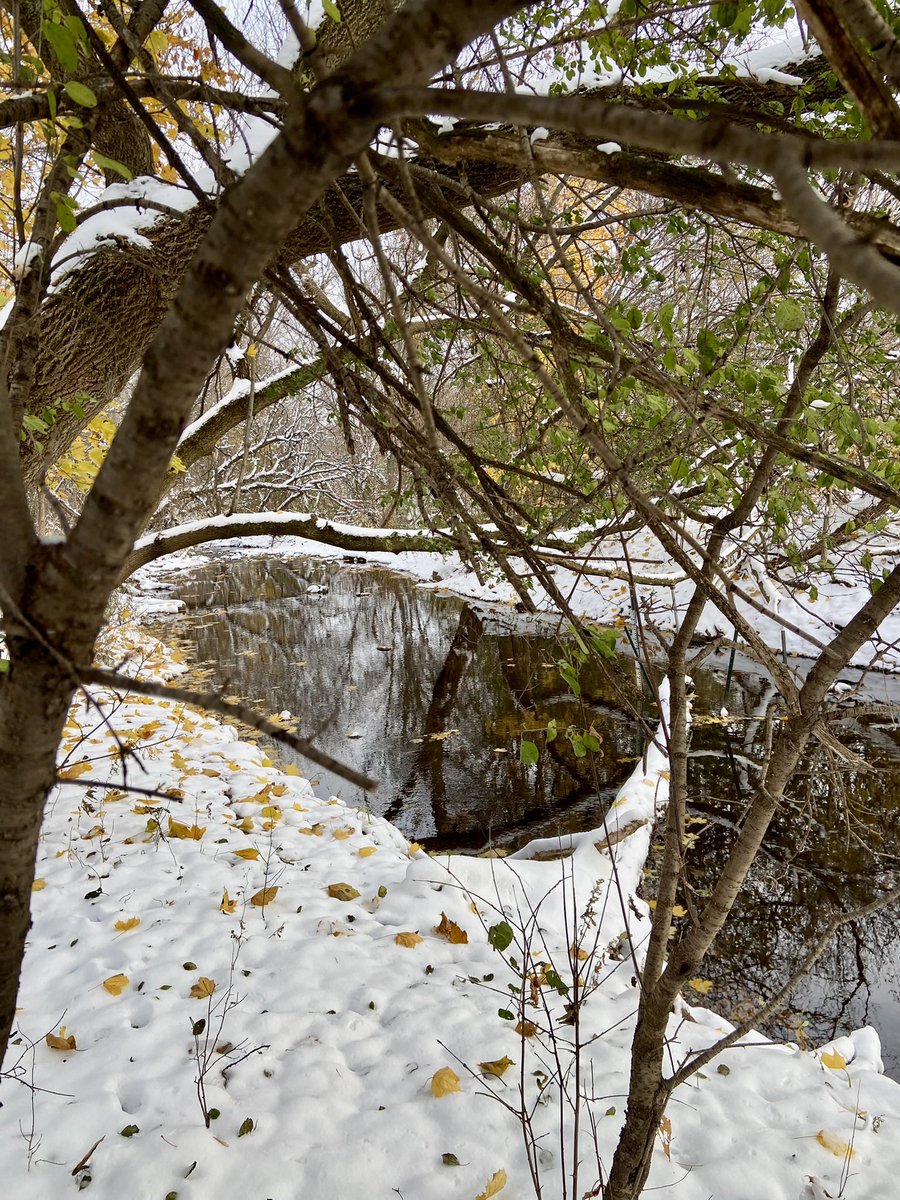 GM and Happy Sunday!

For #SundaySharing please share or QP your favourite #PhotoOfTheWeek.

No theme | please join in!