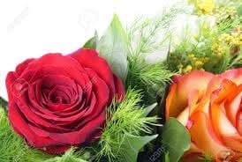 भले हीं हममे, तुममे कुछ ये रूप रंग का भेद हो,
है खुशबुओं में फर्क क्या, गुलाब हम, गुलाब तुम

~ कुंवर बेचैन