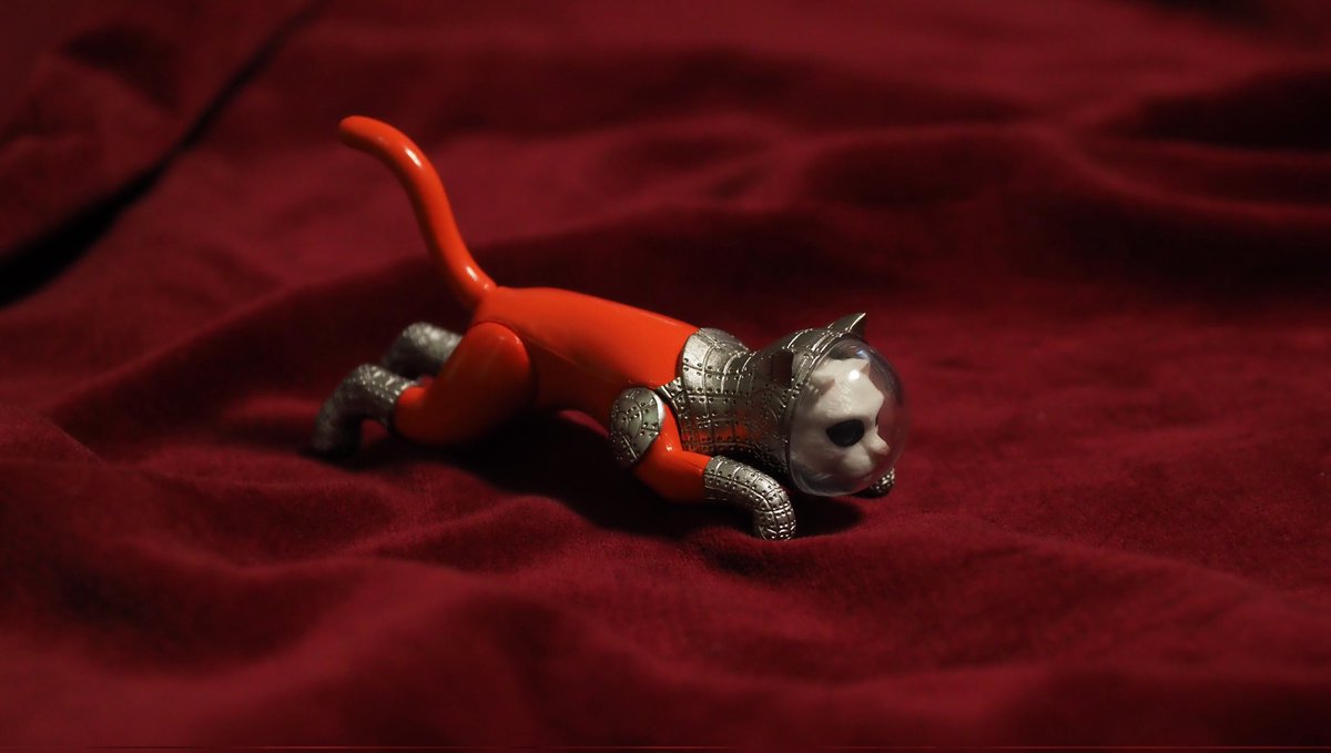 蔦屋書店 GINZA SIX店に行くと、この間までGINZA SIXに展示されていた