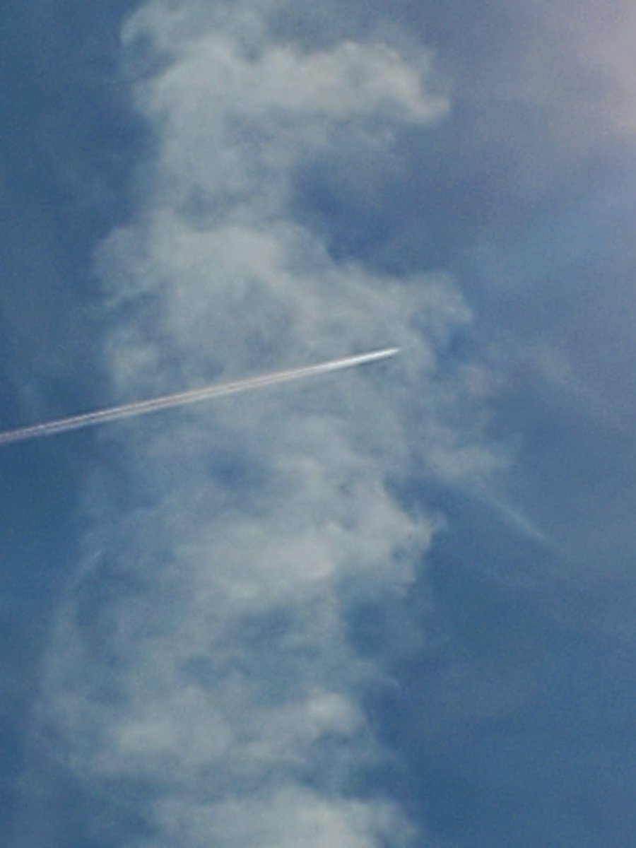 Our trees are dying, we're having trouble even growing certain grasses for grazing due to the toxicity of aluminum in our soil and where is the Patriots that love America where are you?²