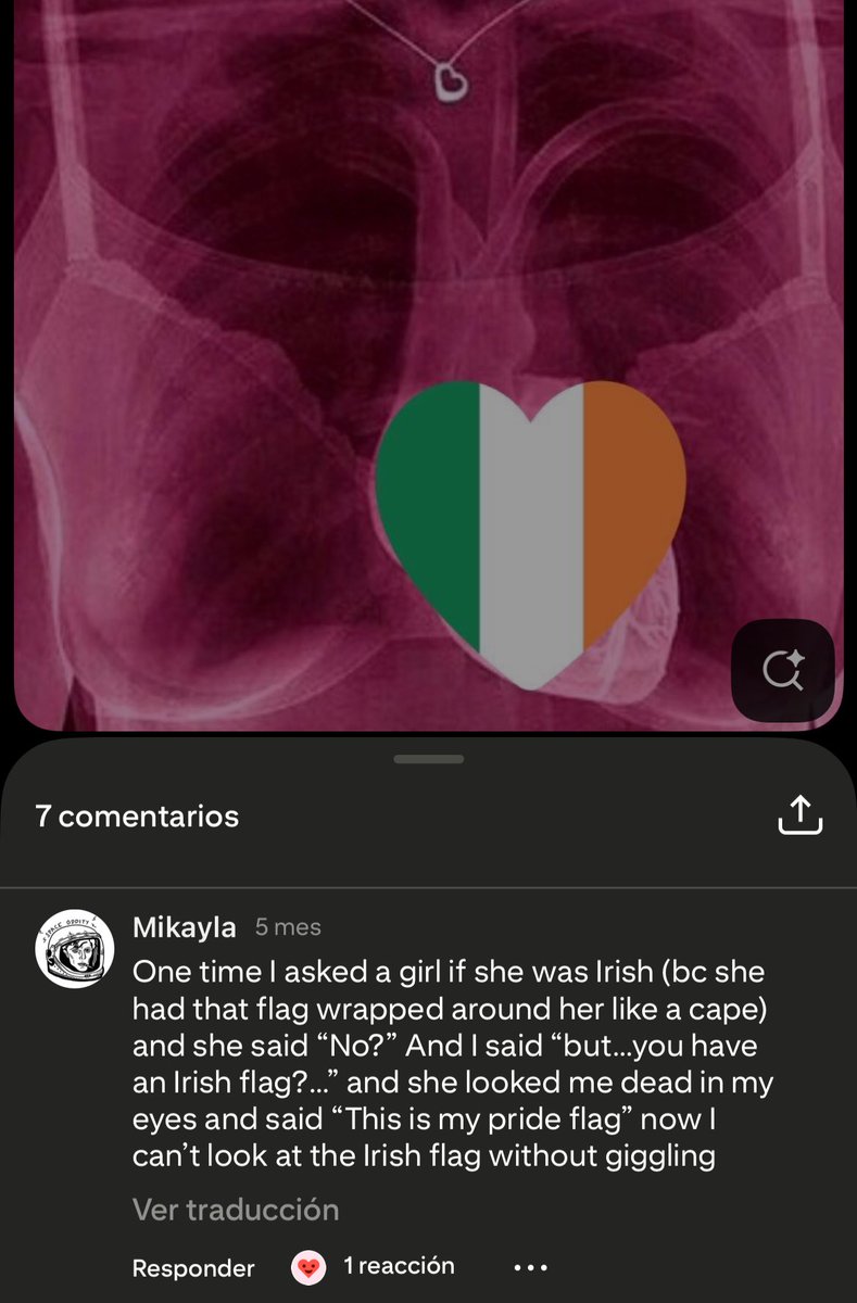 inmys1eep's tweet image. this is my pride flag.