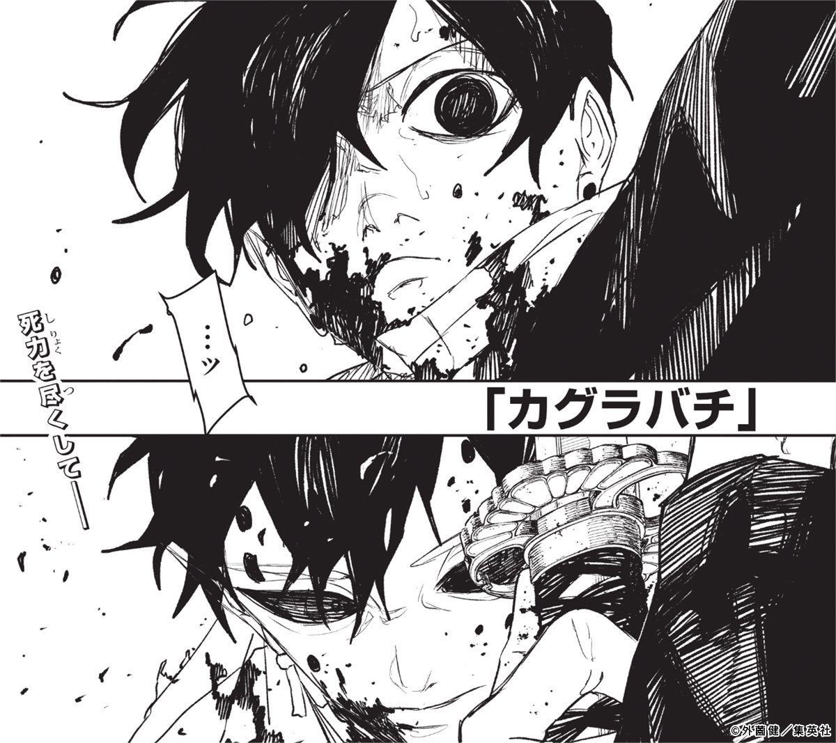 柘榴🐦‍⬛🦉🐦‍🔥 (@zakuro87) / Posts / X