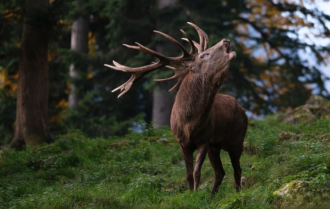 This week in Editor's Choice 📷Explore more work hand-picked by our editors and ambassadors: