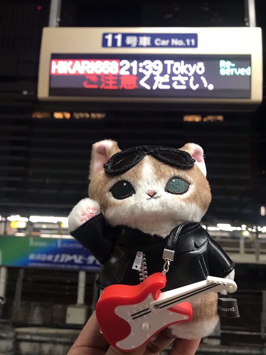 にゃん🐱（旧”S'zのLIVE-GYMにようこそ”） (@sz_bz_arigato) / Posts / X