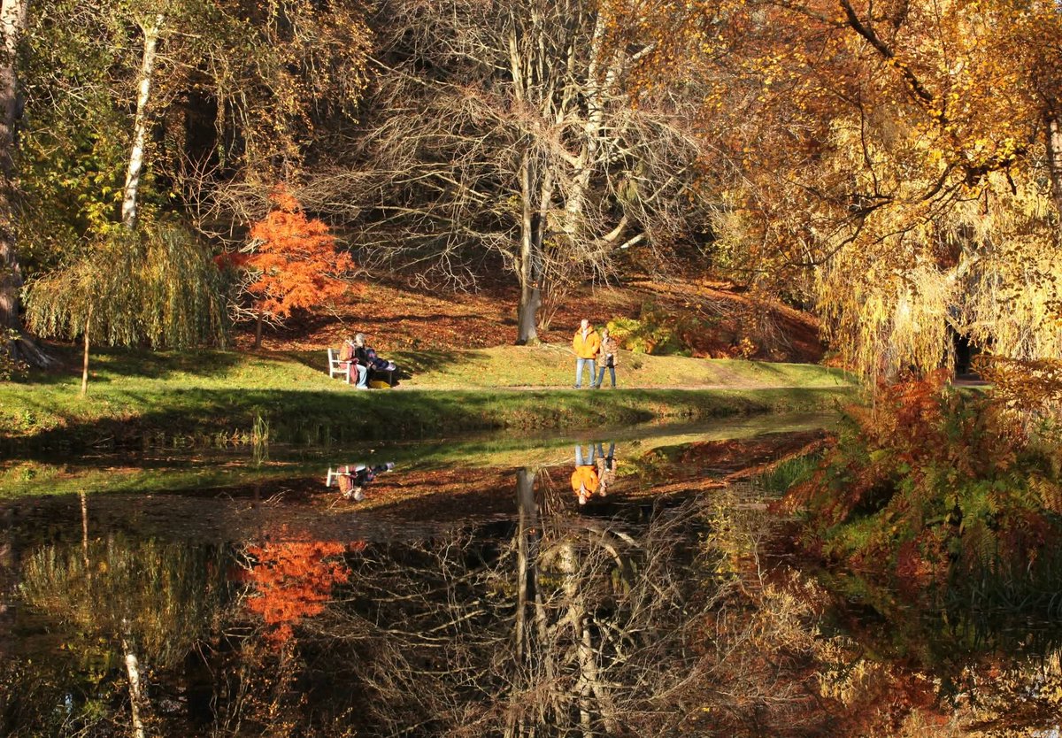 It's a wonderful day, Thank you my dear God. 🙏🏻🤗