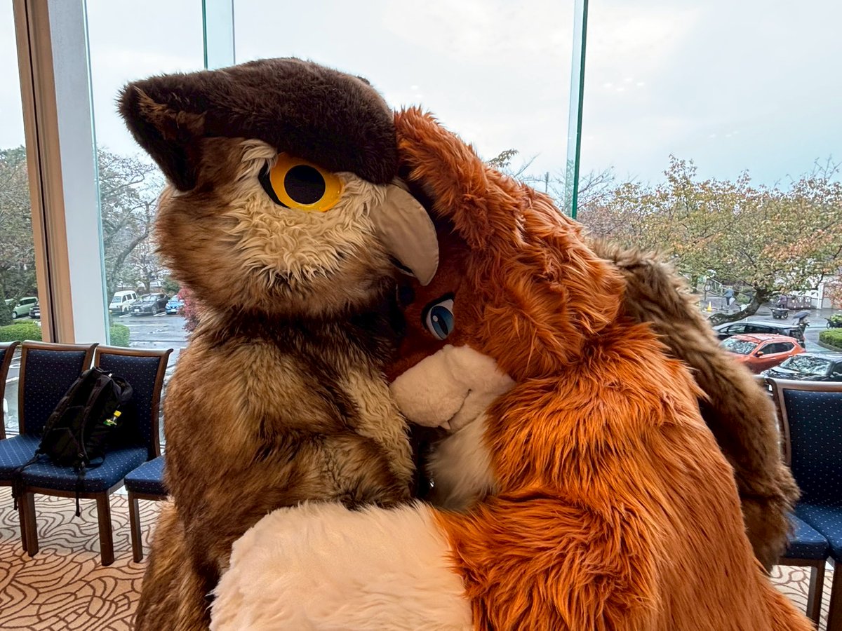 RT @wanntyan_rugia: @sora_huzimaru 🐺💕