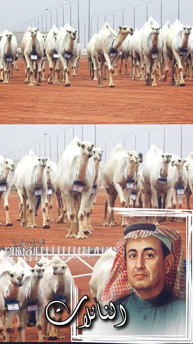 ٰالبتول مطيريا tweet media