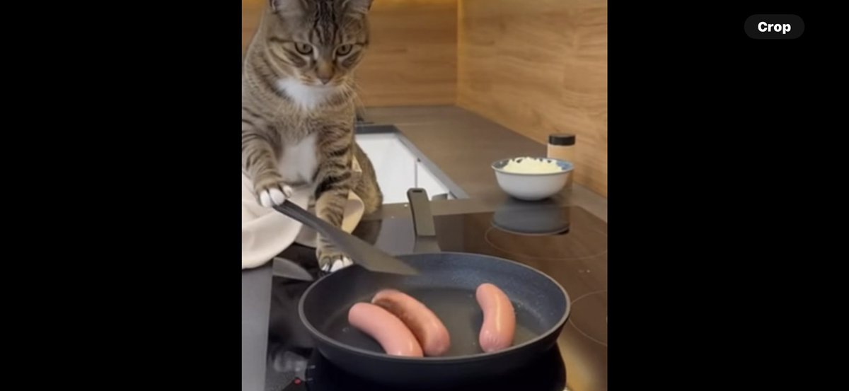 thoma31083's tweet image. 😂