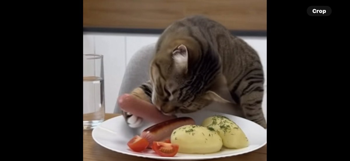 thoma31083's tweet image. 😂