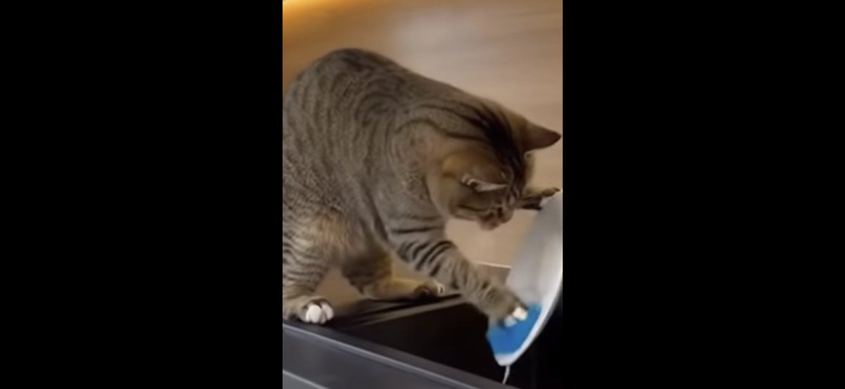 thoma31083's tweet image. 😂