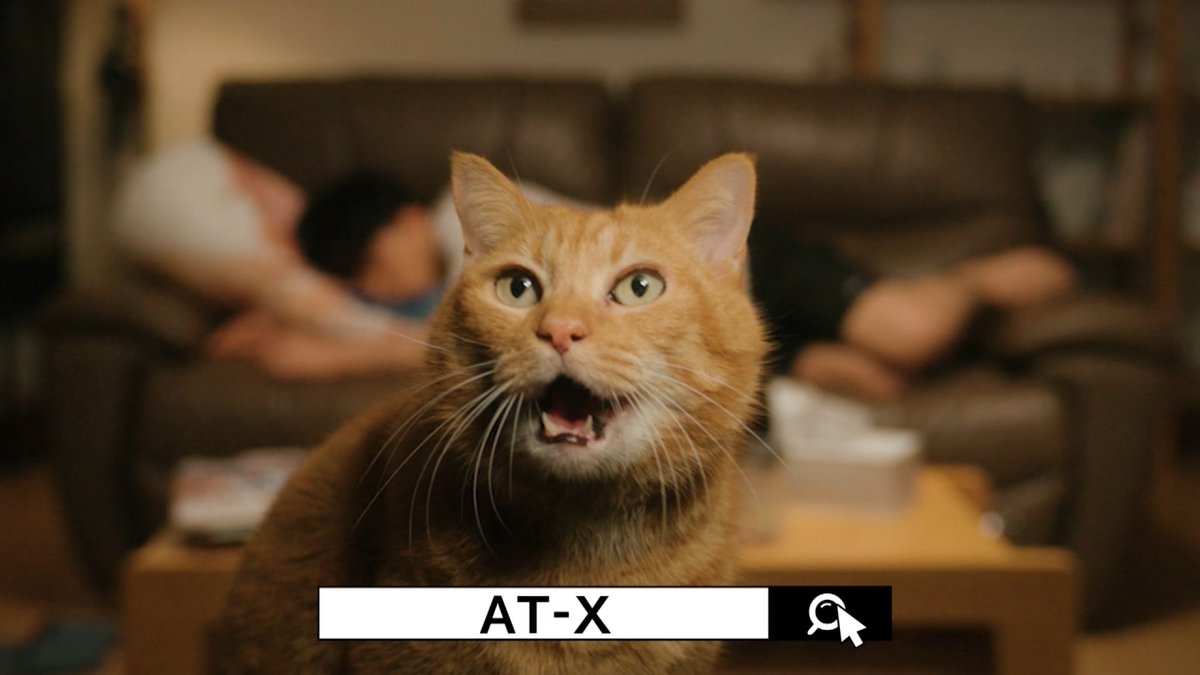 影がにゃい！　#アニメ吸血鬼ちゃん #ちゃんと吸えない吸血鬼ちゃん #tokyomx