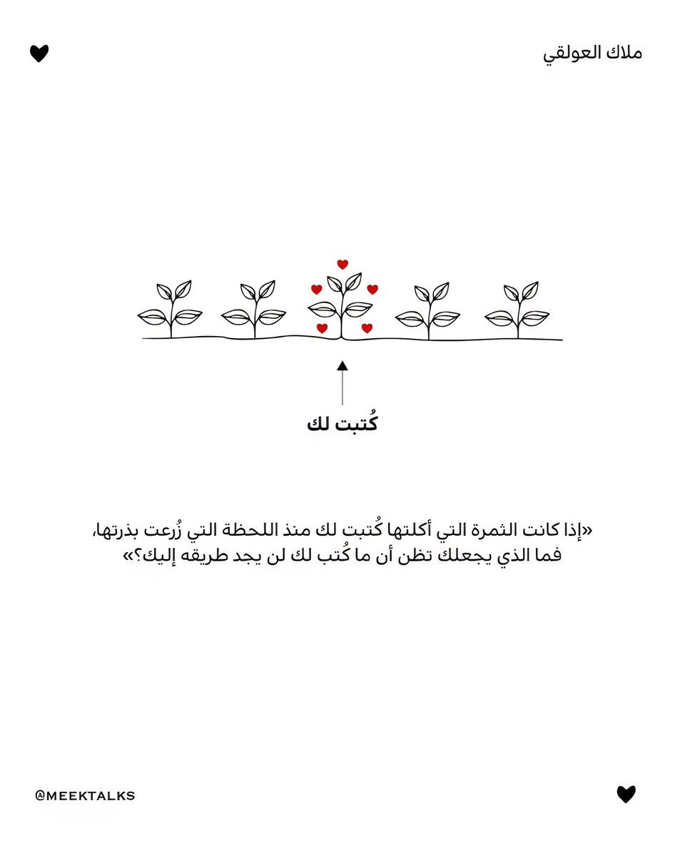 ملاك العولقي ★ tweet media
