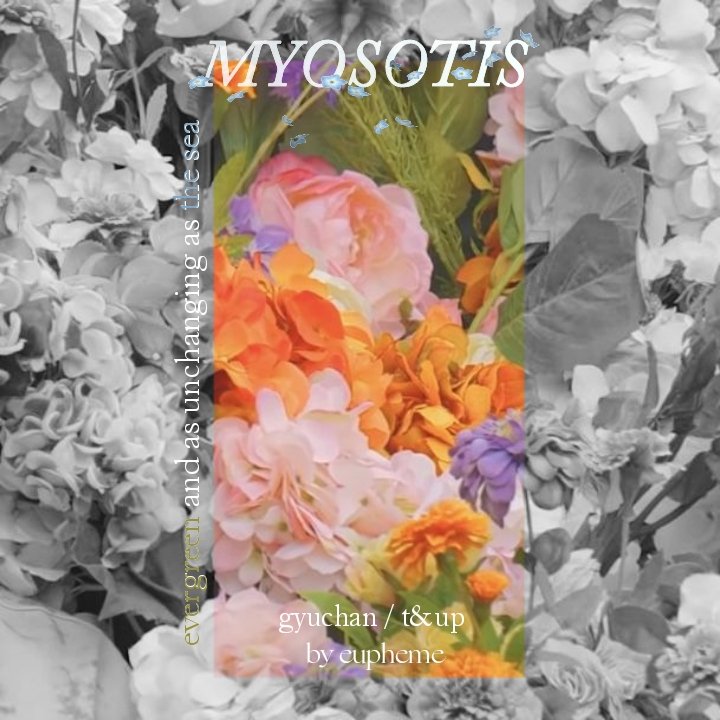 myosotis 

♡ mingyu/chan | gyuchan
〰 teen &amp; up | 1,6k | alternate universe 
〰 language of flowers; established relationship; soulmate marks

Mingyu and Chan celebrate their anniversary.

ao3.org/works/74292696