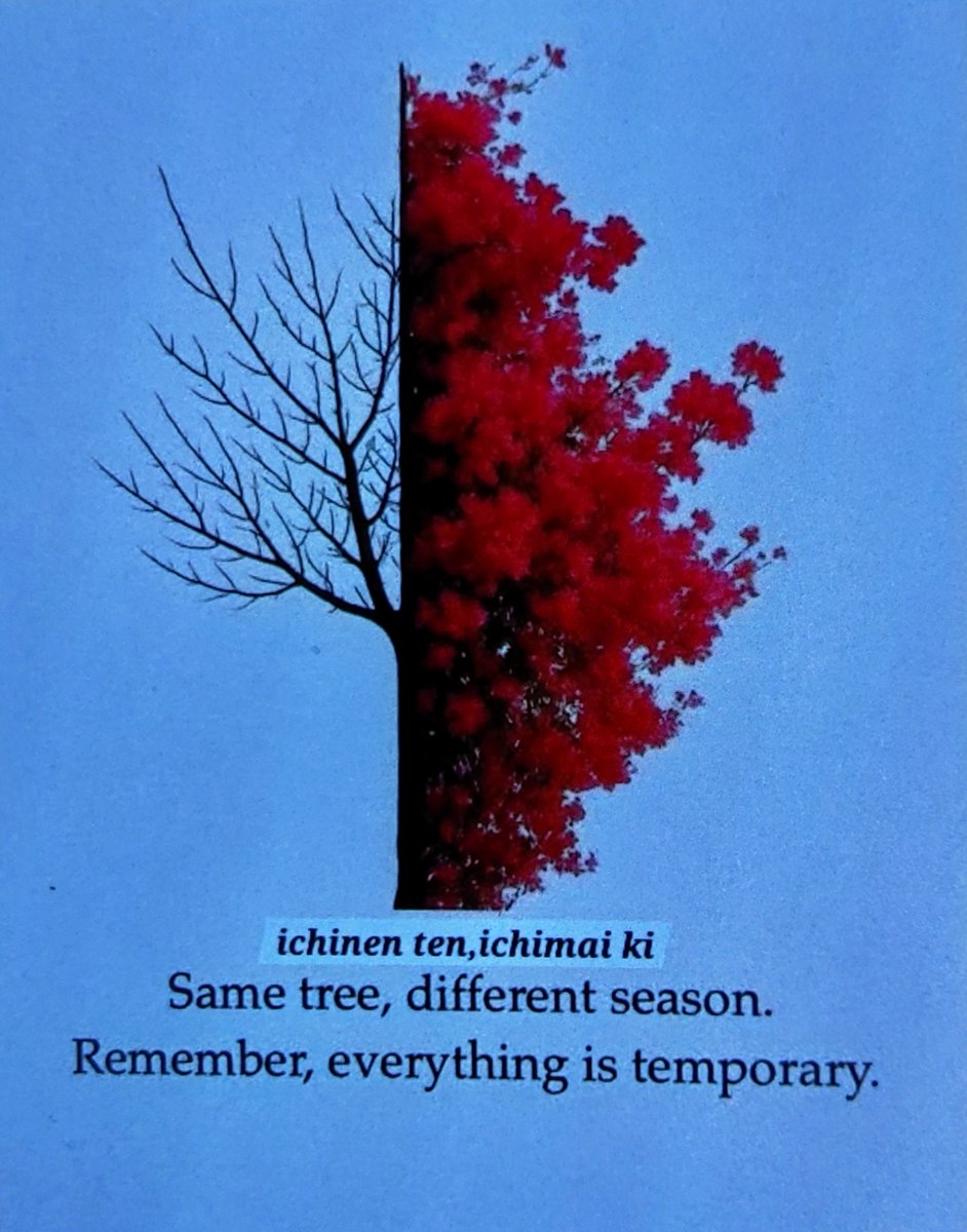 engezzi's tweet image. 