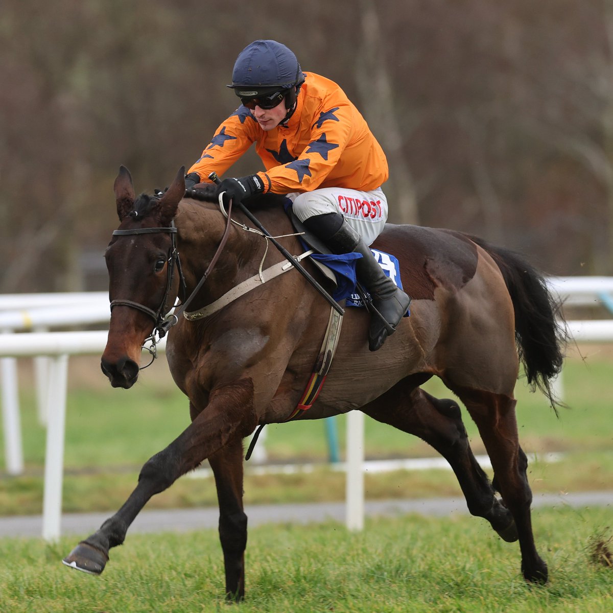 Racing Post tweet media