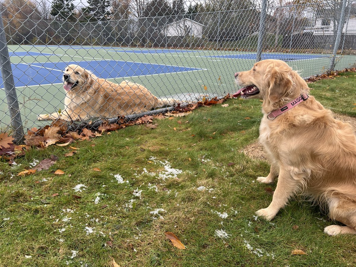 Chris Currie tweet media