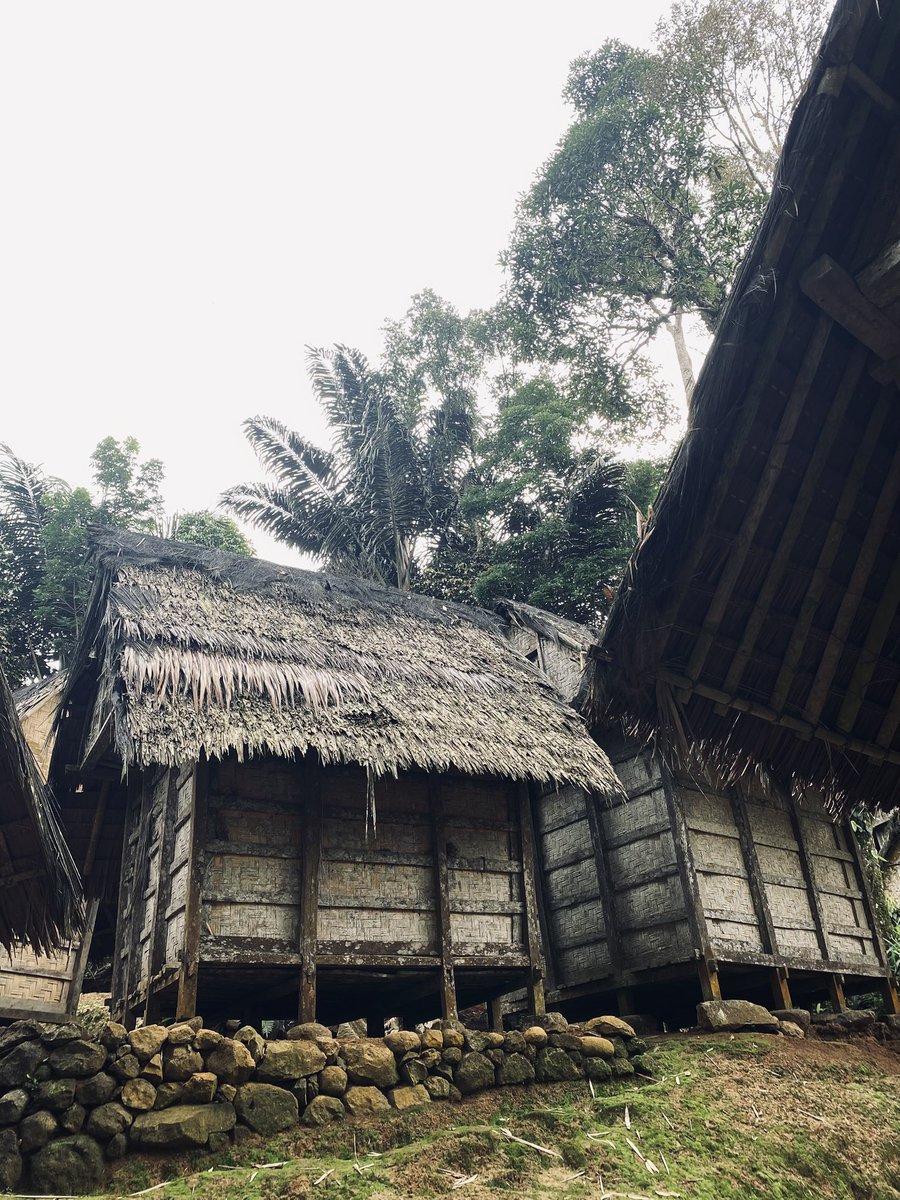 ༘⋆sol˚🐳 tweet media