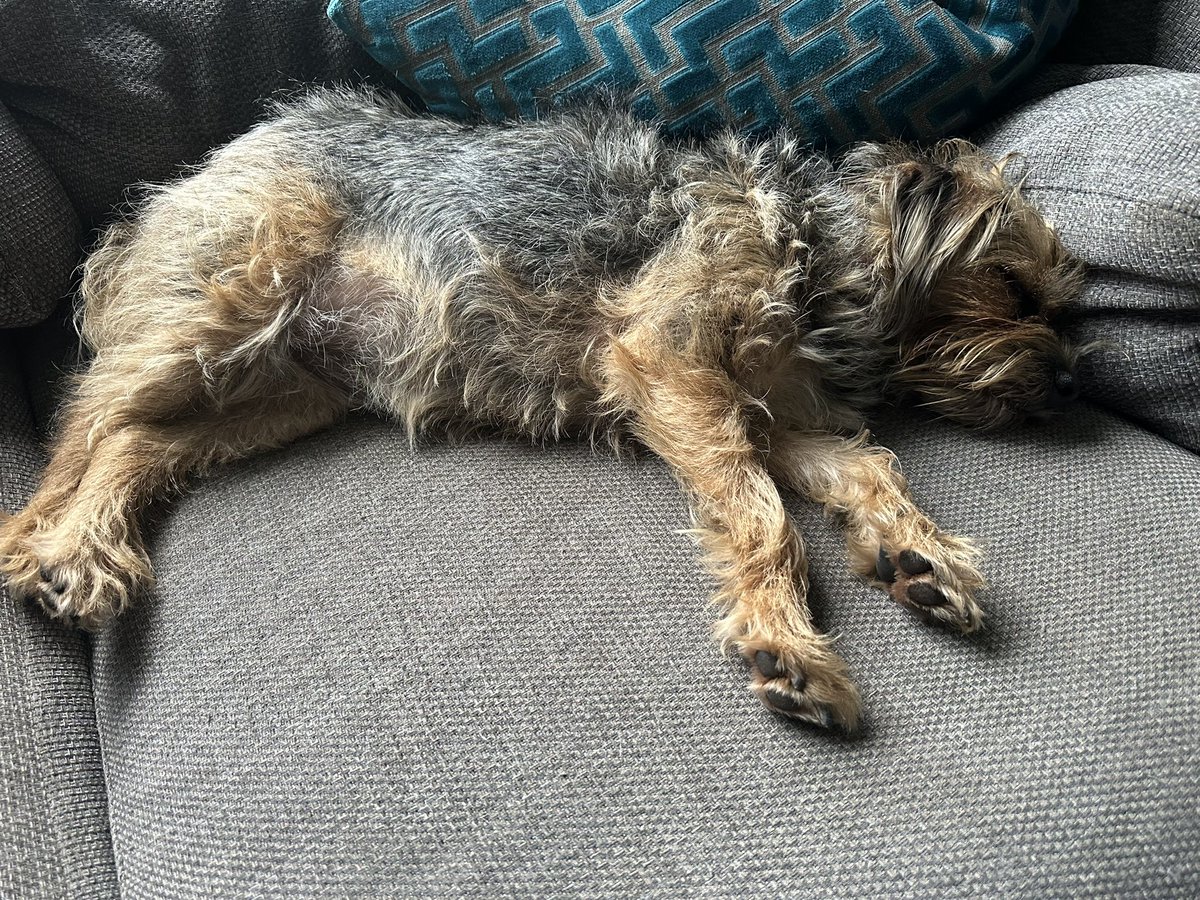 Miss Scraggy Agnes tweet media