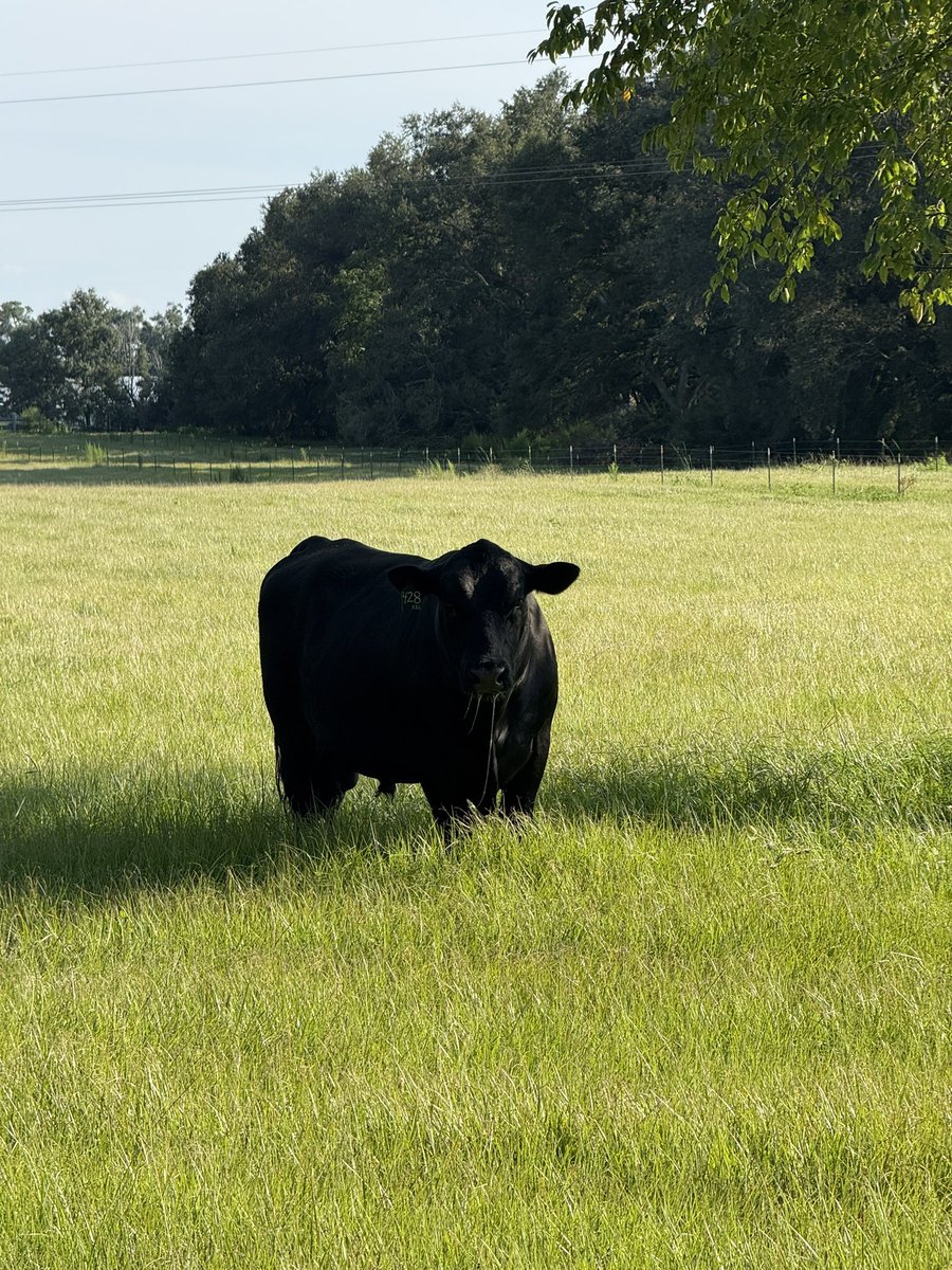 EvaWCountess's tweet image. ❤️🥰❤️happy Sunday guys!