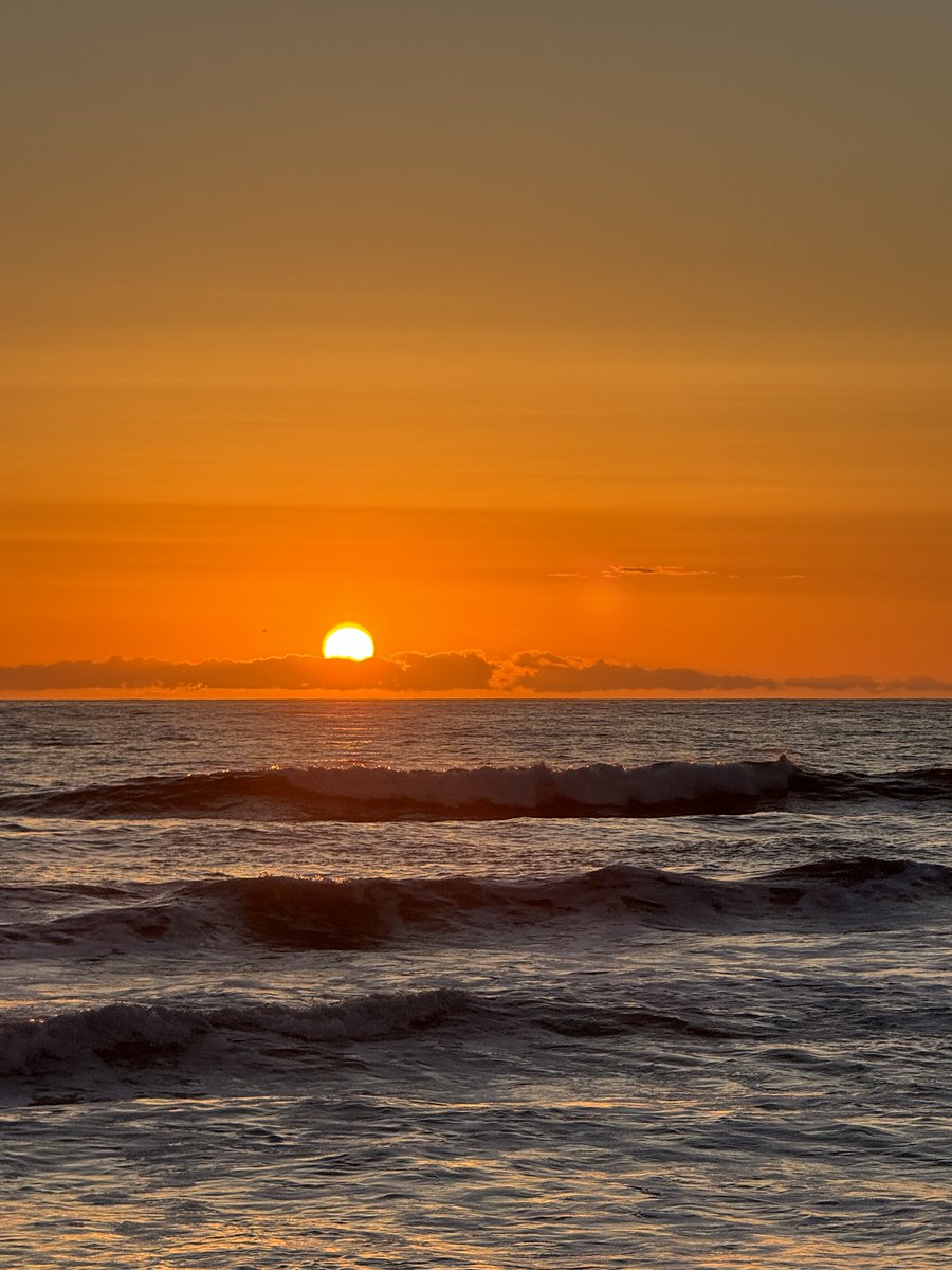 Chelsea Rose tweet media