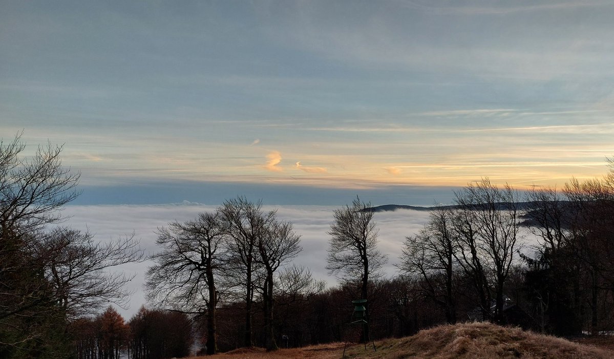 drzwinsch's tweet image. Der Nebel drückt gegen das Erzgebirge 
#inversion
