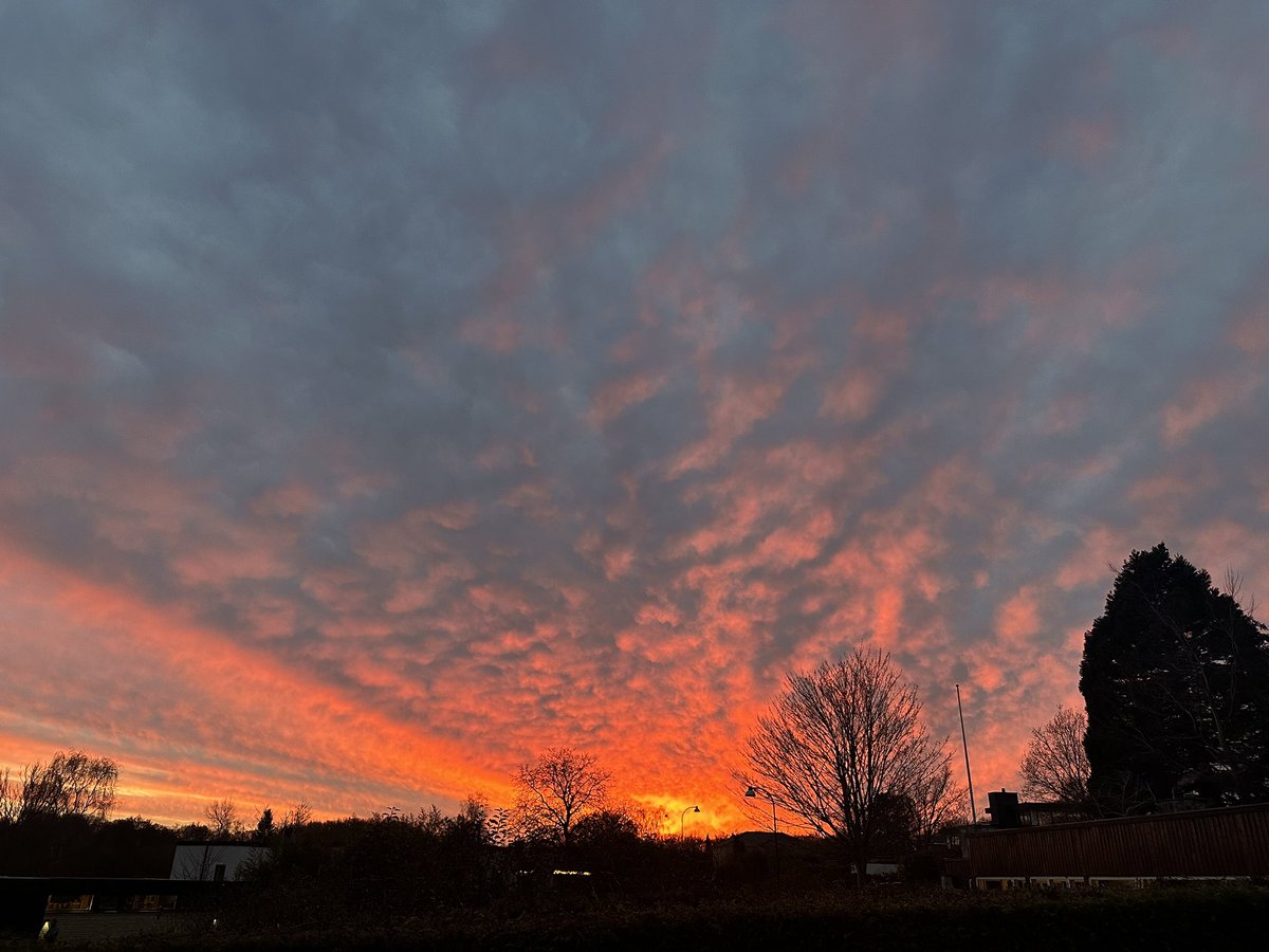 Returned home 🙌🇩🇰