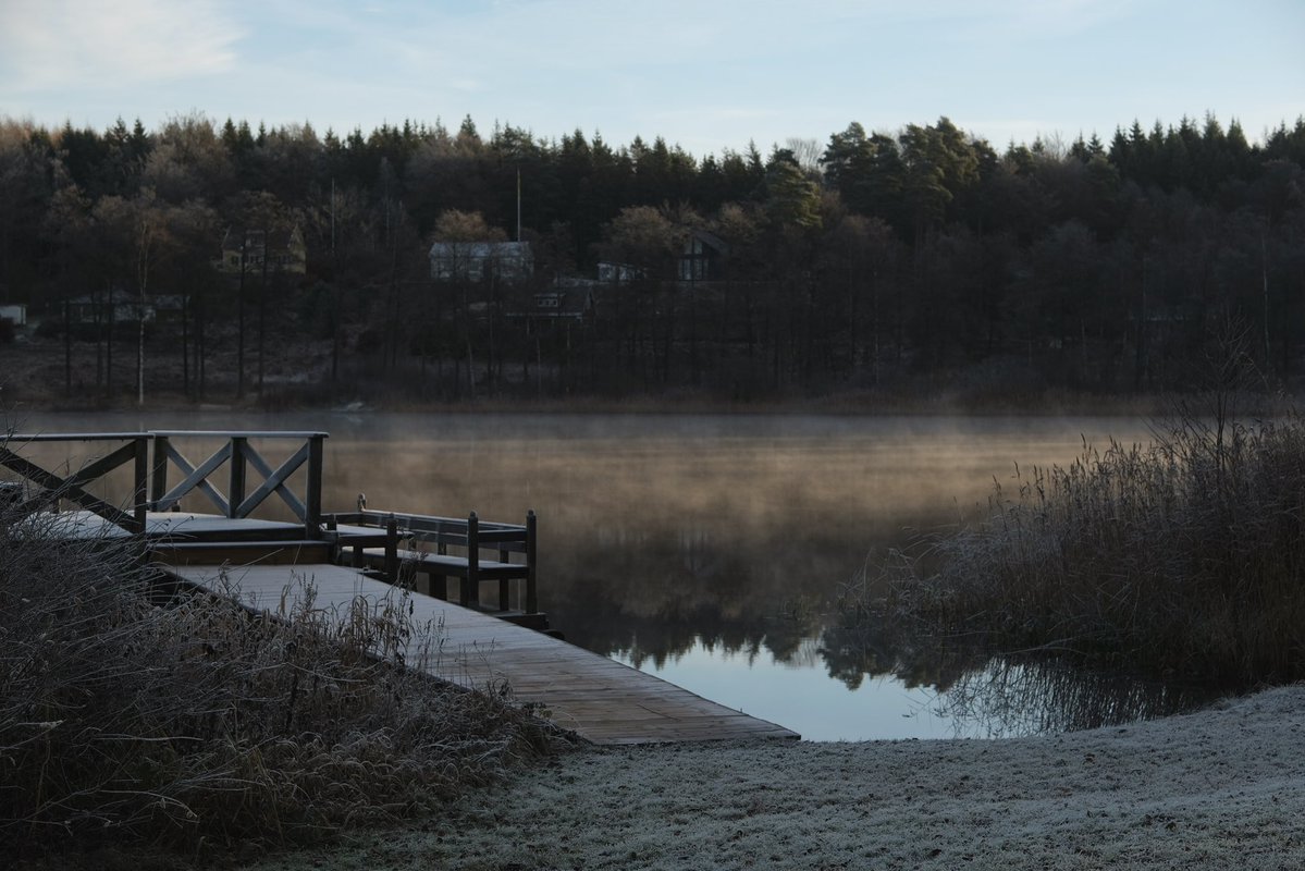 strfltm's tweet image. Imorse vid sjön.