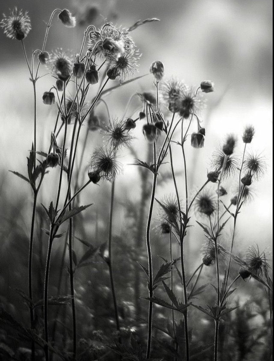 AnaAnna (@anaanna1081422) on Twitter photo 