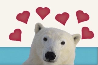 EternalMothman's tweet image. BEAR OCLOCK! the bg is the same colour scheme as the Jaws poster