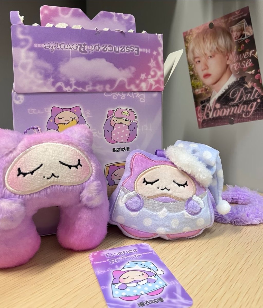 🎀ଓˎˊ˗ tweet media