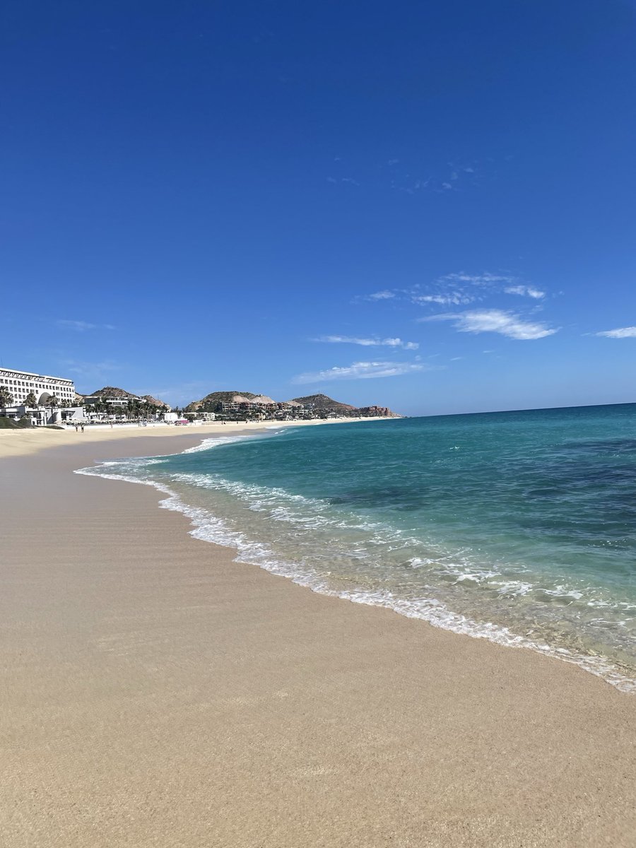 postedguy's tweet image. El toro guero