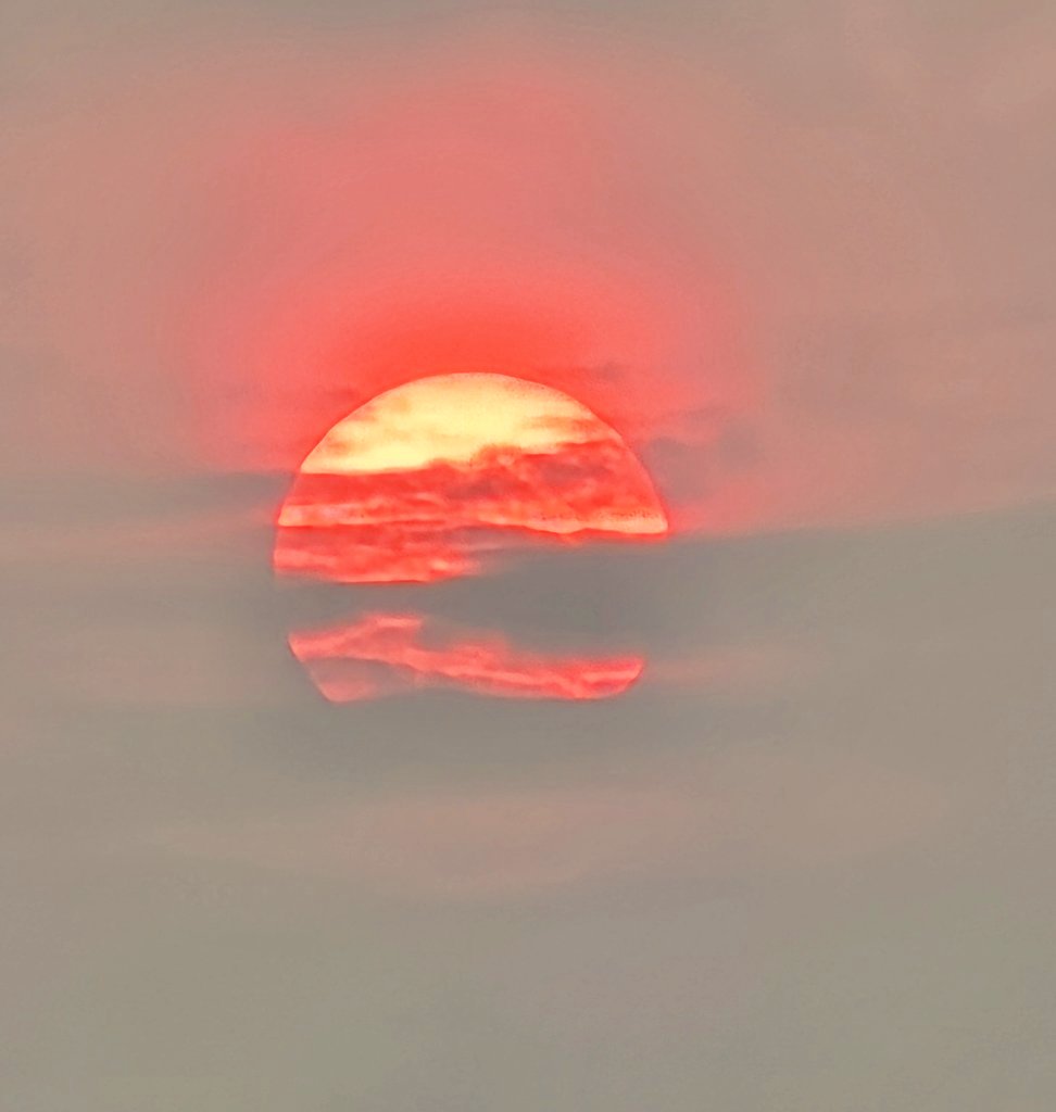 docwithepilepsy's tweet image. 