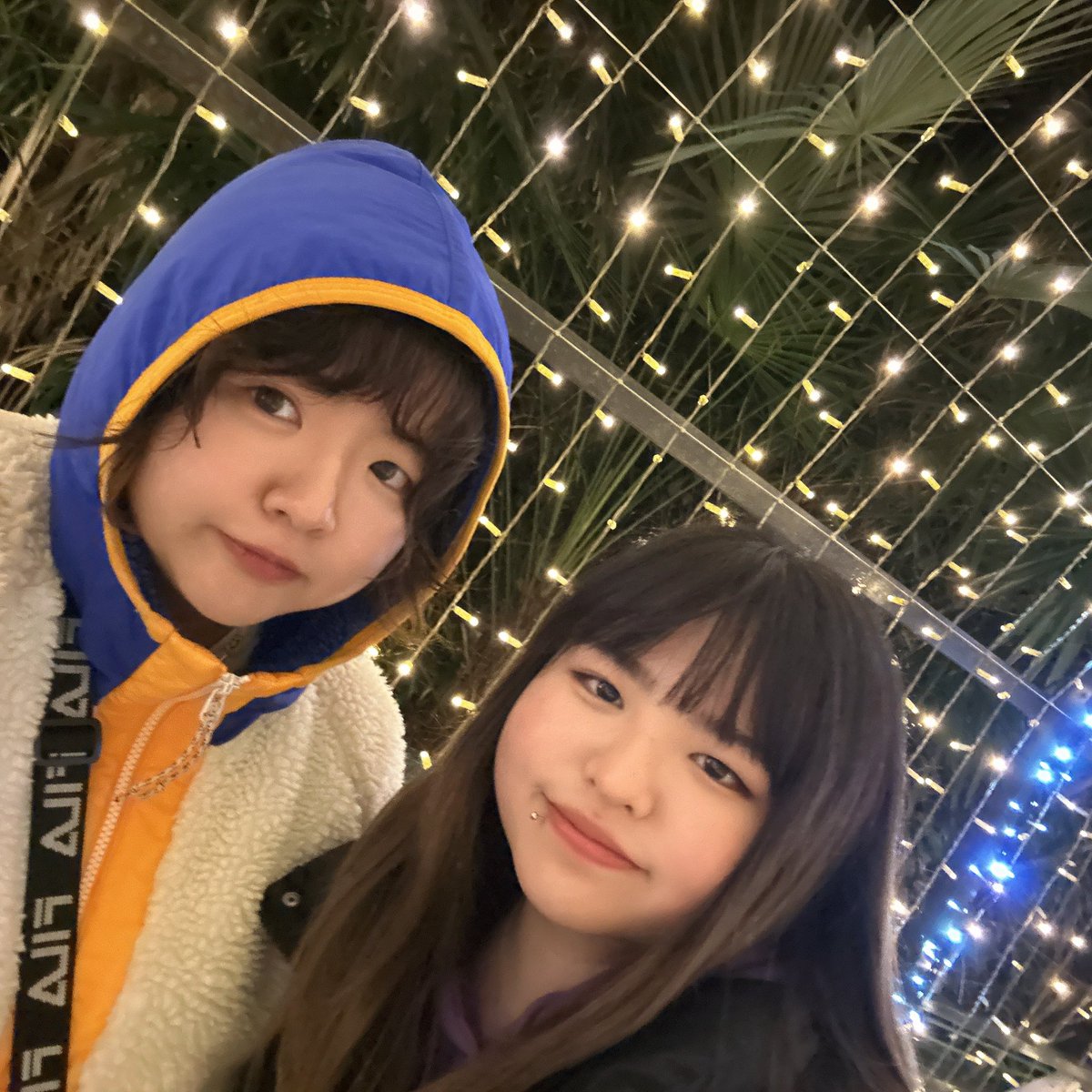 さわ🐼 (@shawa_ctoc) / Posts / X