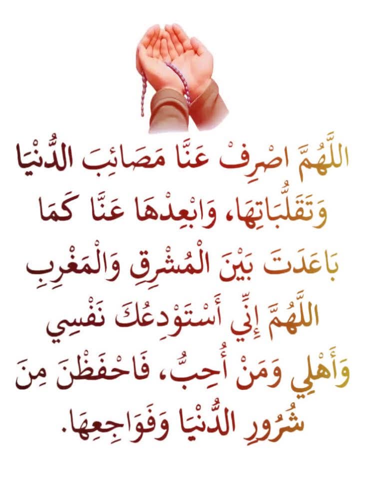 Amira Youssef (@amirayouss13682) on Twitter photo 