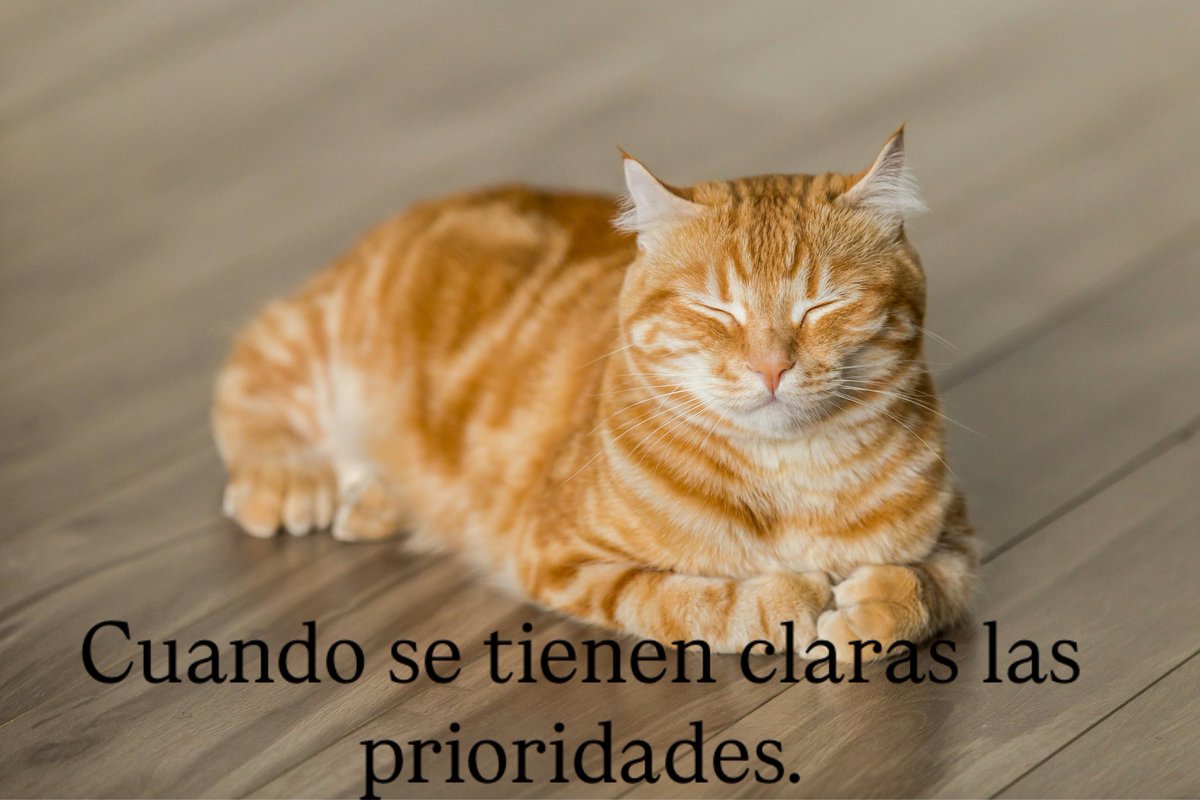 miguel angel ebro (@miguelangelebro) on Twitter photo 