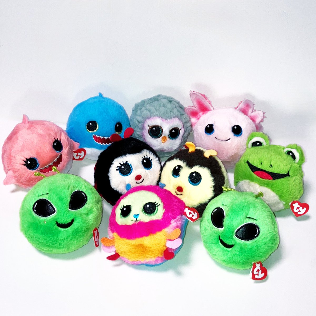 Ty Japan -タイ ジャパン-【公式】 (@TyJapanOfficial) / Posts / X