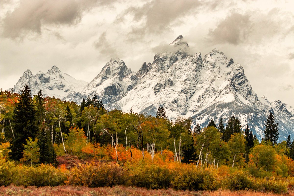 Interior's tweet image. Snowy peaks, glowing aspens, and a view that feels like a daydream.

Have a beautiful Sunday!

Photo by Grand Teton National Park