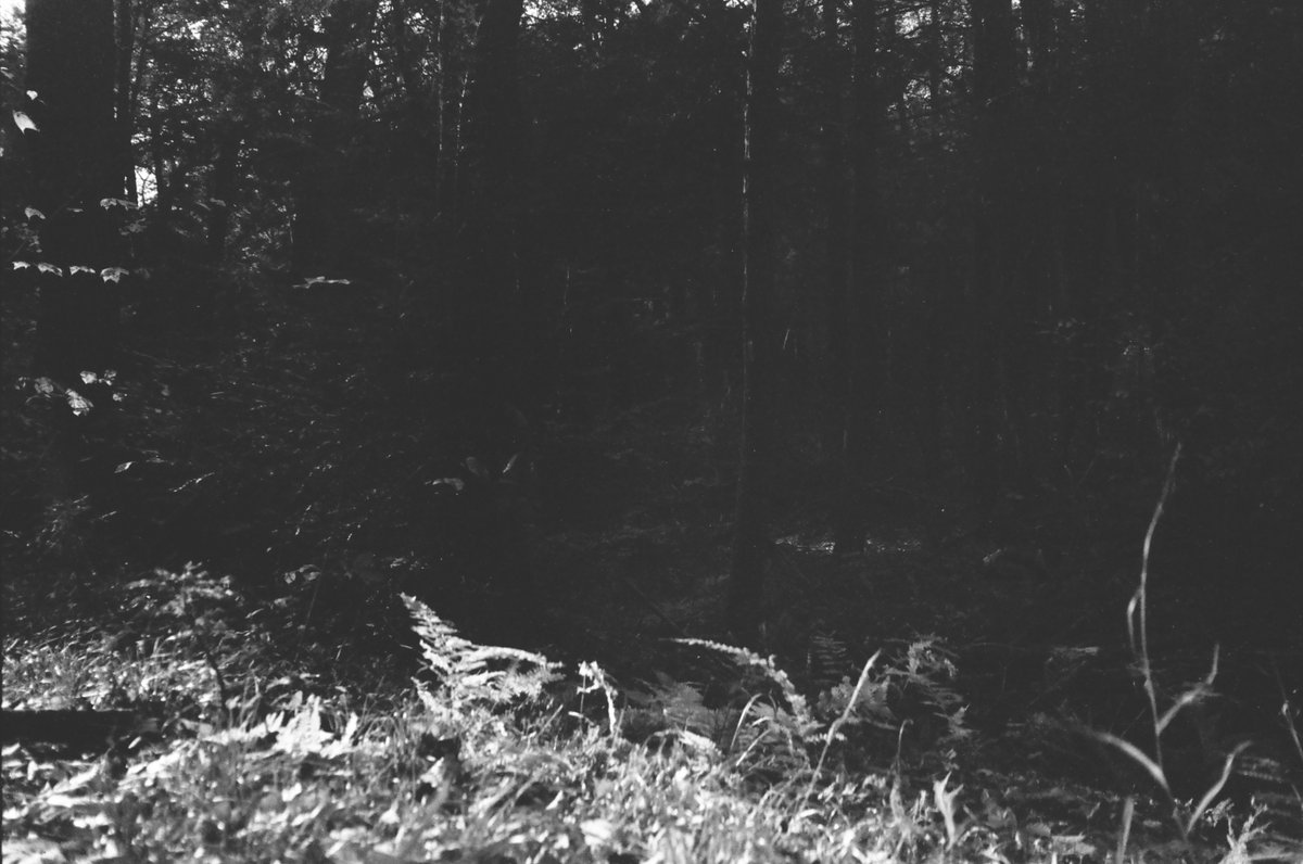 SimulationRot's tweet image. 