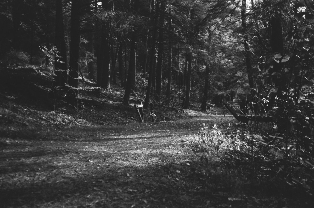 SimulationRot's tweet image. 