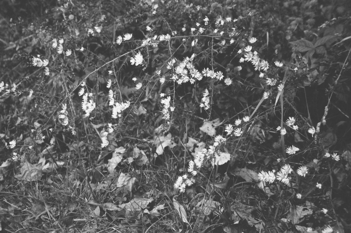 SimulationRot's tweet image. 