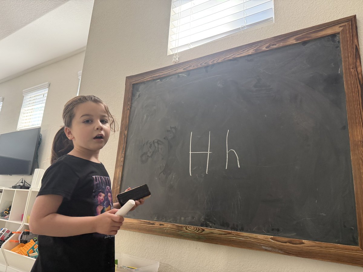 Gena_I_Gorlin's tweet image. Omg, you guys, 5yo has opened a “Toddler School” in our playroom and is practicing her first lesson on me before teaching it to her 2yo brother 

This might seriously be what gets him started on literacy