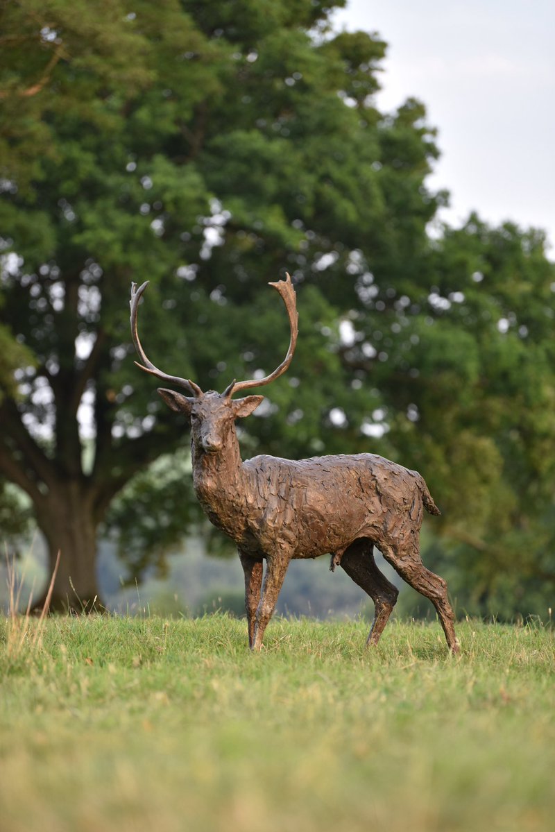 Fallow Buck Standing 2018

hamishmackie.com/sculptures/fal…

#fallowdeer #buck #deer #sculpture #statue #artwork #landscapeart #landscapesculpture #sculptor #animalart #animalsculpture #wildlifeart #wildlifesculpture #artcollectors #artcommission #artbuyers #buyart #statuecollectors