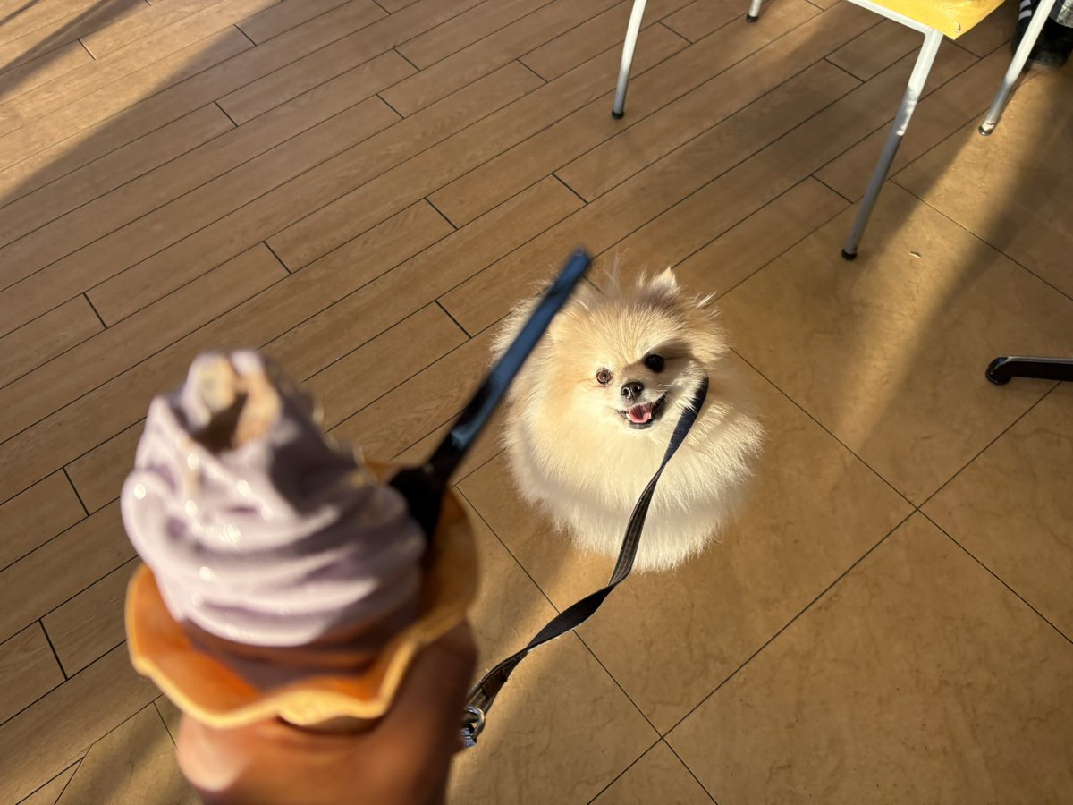 念願のマザー牧場に行きました🫏
時間足りなすぎたー！