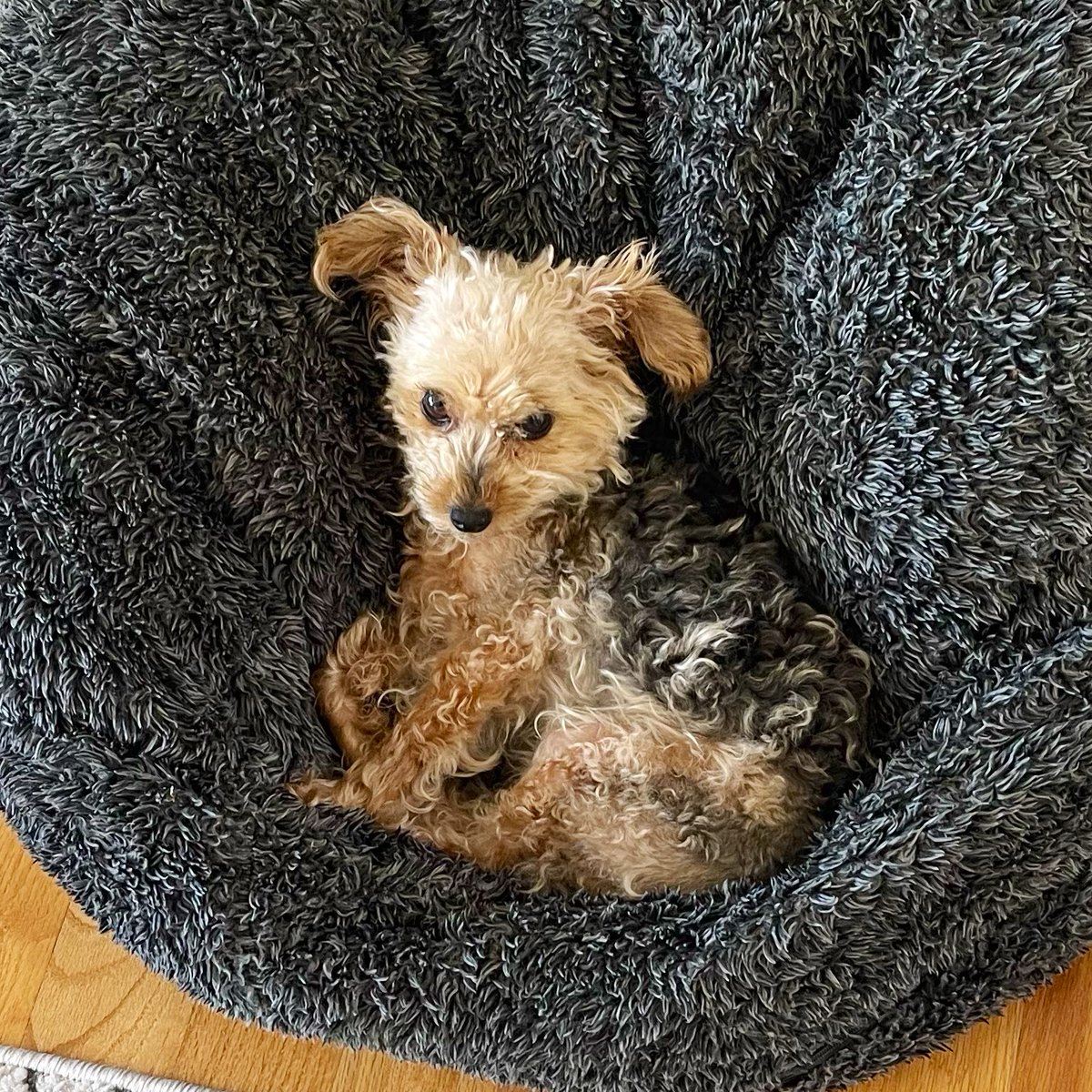 JB Kilpatrick tweet media