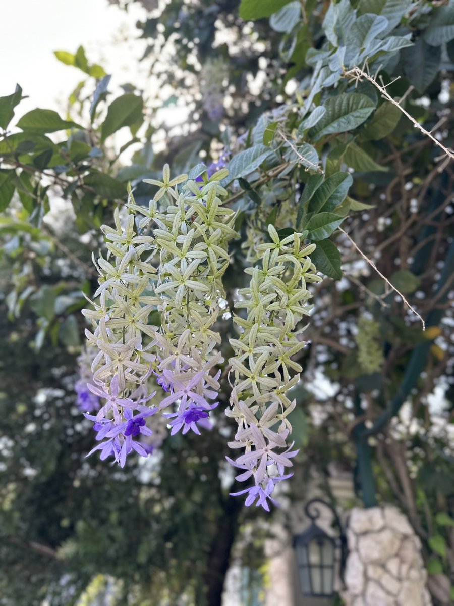 ชอบมากอยู่ ☺️