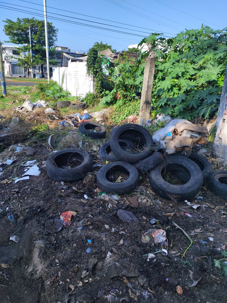 Miguelvallev's tweet photo. @GobiernoVer requerimos de su apoyo para máquinas que se lleven escombros basura que la gente a tomado como basurero, nosotros hemos hecho un poco de limpia, pero volteo. Ubicación: cuauhtémoc esq Paraguay. Col. Cristobal colon Veracruz https://t.co/2tdDB1bbdH