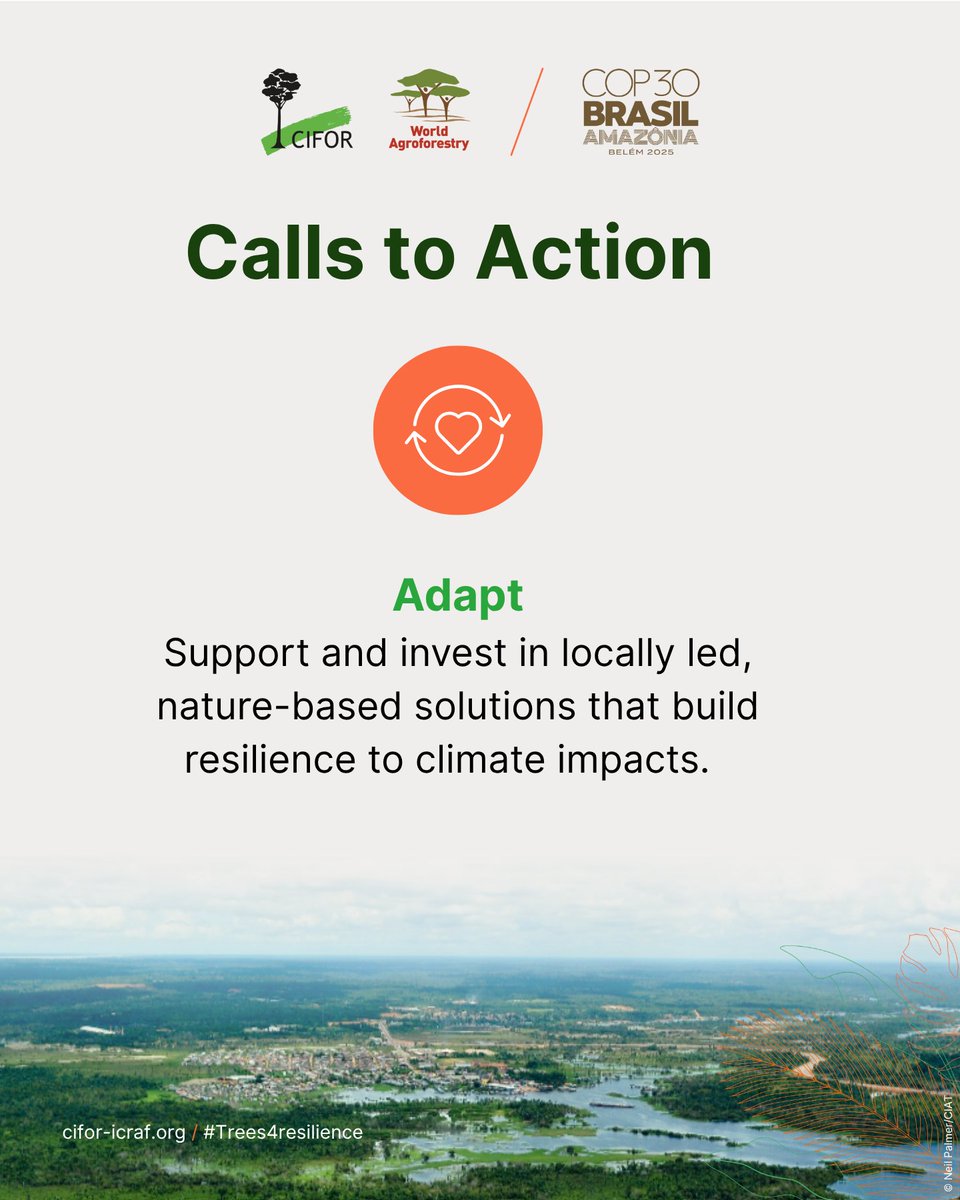 Our calls to action at #COP30

3️⃣: Adapt – Support locally led, nature-based solutions that build resilience to climate impacts. Adaptation works when it fits the landscape and the lives within it.

🔗: bit.ly/4970PkT

#Trees4Resilience