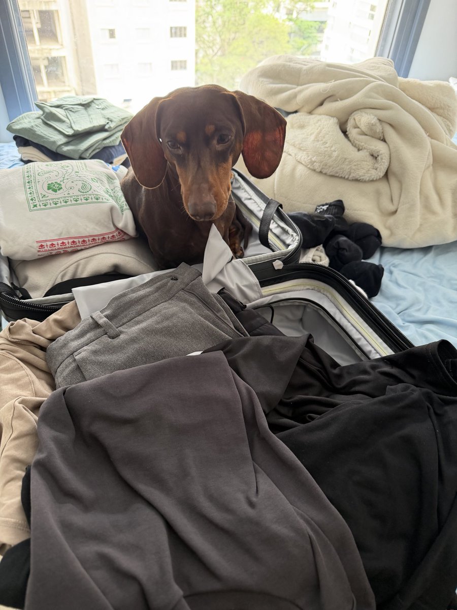 Seems like Nico wants to go to Argentina 🇦🇷. See you guys soon