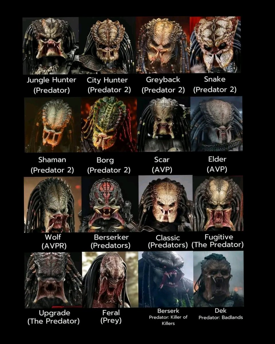PredlienDB's tweet image. Which predator are you?